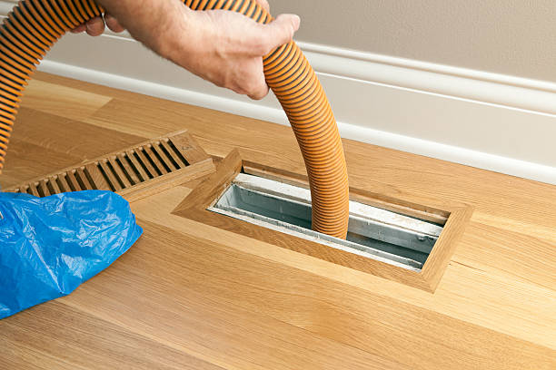 Best Air Duct Mold Removal  in Laymantown, VA