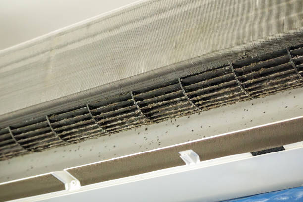 Best HVAC Duct Inspection Services  in Laymantown, VA